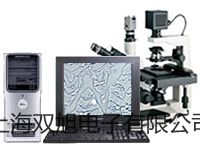 電子天平CP64C【雙旭牌】選擇
