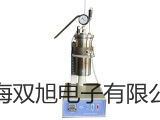 便攜式工業(yè)電子天平V31XW3CN【雙旭牌】比較