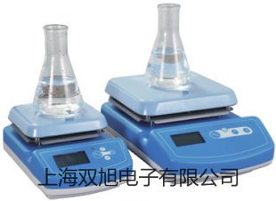 電子天平PI-6001【雙旭牌】電子文檔