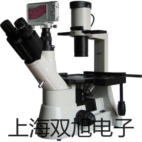 電子天平ESJ200-4B【雙旭牌】采購