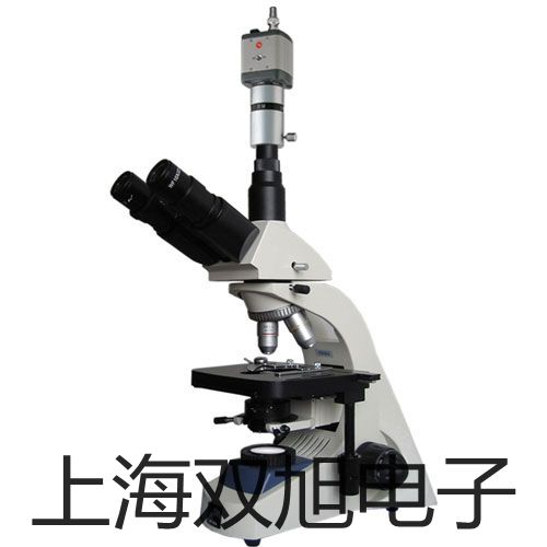 電子天平CP64【雙旭牌】采購