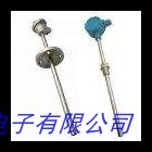專業(yè)生產(chǎn) 耐磨鉑銠熱電偶 電廠硫化床專用 質(zhì)量保證直銷