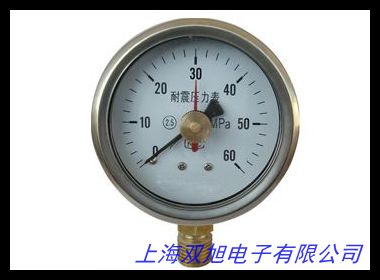 直銷 Y-100壓力表 不銹鋼隔膜壓力表DN50 耐震數(shù)顯壓力計(jì)